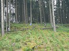 mcr11/fialovi/P1430037.JPG