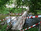 mcr11/fialovi/P1420996.JPG