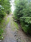 mcr11/fialovi/P1430084.JPG