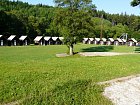 mcr11/fialovi/P1420904.JPG