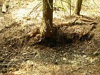 photo2197.jpg