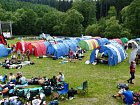 mcr11/fialovi/P1420949.JPG
