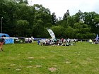 mcr11/fialovi/P1420935.JPG