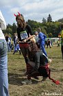 photo1223.jpg