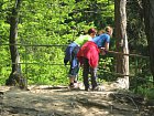 photo1557.jpg