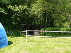 mcr11/valenta/P1150888.JPG