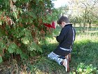 photo774.jpg