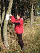 Trnava 2007