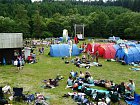 mcr11/fialovi/P1420948.JPG