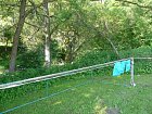 mcr11/fialovi/P1420918.JPG