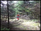 photo1372.jpg