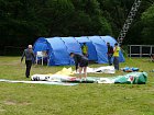 mcr11/fialovi/P1430336.JPG