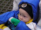 photo442.jpg