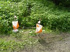 mcr11/valenta/P1150951.JPG