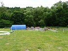 mcr11/fialovi/P1420892.JPG