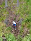 mcr11/fialovi/P1430049.JPG