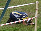 mcr11/fialovi/P1430175.JPG