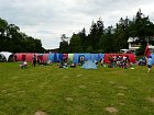 mcr11/fialovi/P1420934.JPG