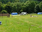 mcr11/fialovi/P1420891.JPG