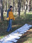 photo794.jpg