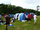mcr11/fialovi/P1420946.JPG