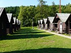 mcr11/fialovi/P1420907.JPG
