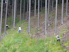mcr11/fialovi/P1430043.JPG