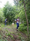 mcr11/fialovi/P1430029.JPG