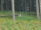 mcr11/fialovi/P1430036.JPG