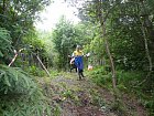 mcr11/fialovi/P1430028.JPG