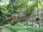 mcr11/fialovi/P1420967.JPG