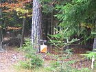photo248.jpg