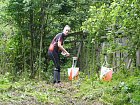 mcr11/fialovi/P1430023.JPG