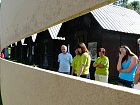mcr11/fialovi/P1420923.JPG
