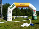 mcr11/fialovi/P1420912.JPG