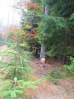 photo249.jpg