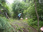 mcr11/fialovi/P1430022.JPG