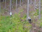 mcr11/fialovi/P1430042.JPG