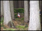 photo2038.jpg